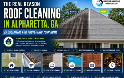 The Real Reason Roof Cleaning in Alpharetta, GA Is Essential for Protecting Your Home
